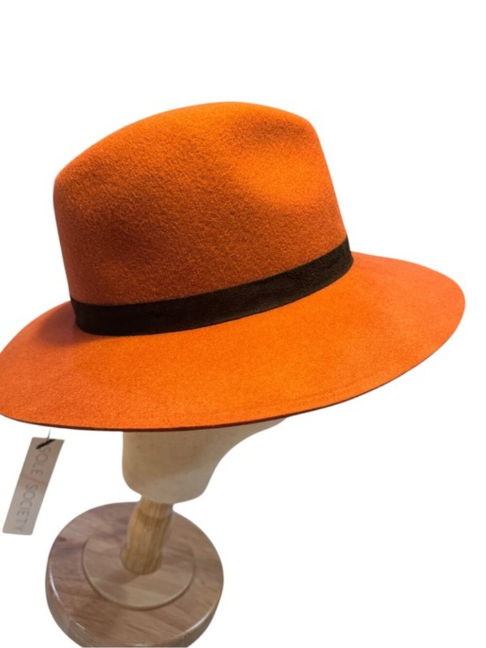 Sole Society 100% Wool Rancher Hat Terracotta Wide Brim Western Boho NWT - Picture 7 of 11